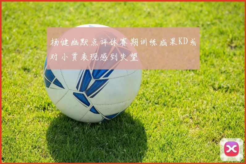 杨健幽默点评休赛期训练成果KD或对小贾表现感到失望