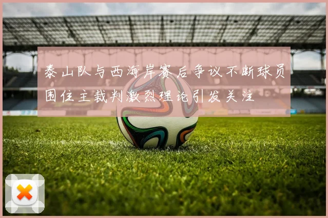 泰山队与西海岸赛后争议不断球员围住主裁判激烈理论引发关注